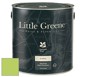 Little Greene Absolute Matt Emulsion матовая краска для потолка NCS - NCS S 0560-G40Y