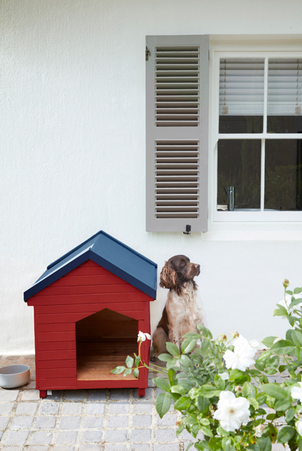 Цвет в интерьере